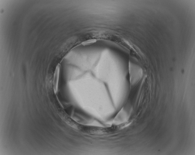 X0000082750513200702091932