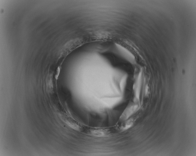 X0000082750516200702091932