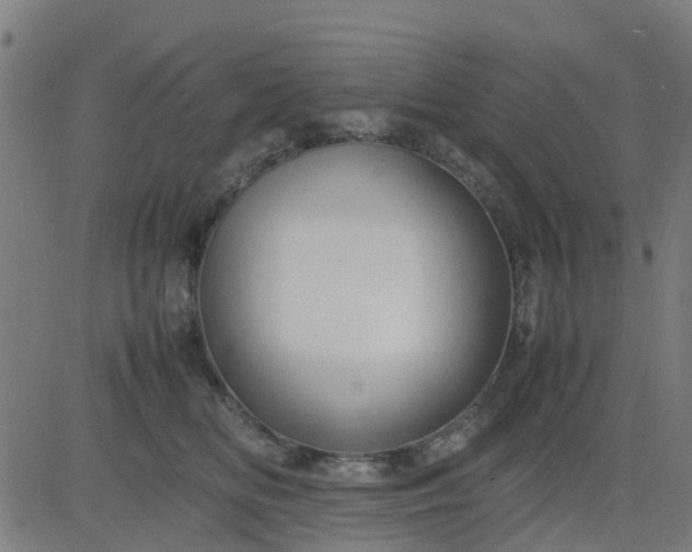 X0000082750518200702091932