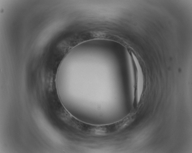 X0000082750525200702091931