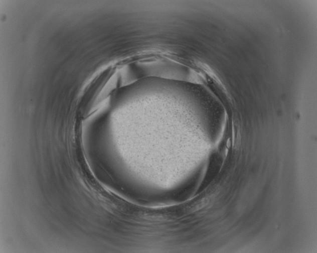 X0000082750531200702091931