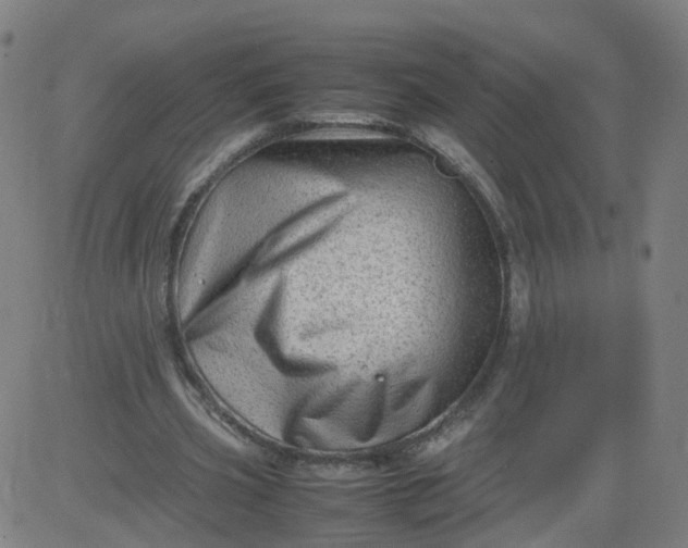 X0000082750533200702091931