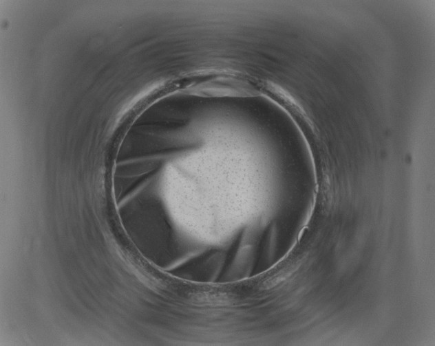 X0000082750535200702091931