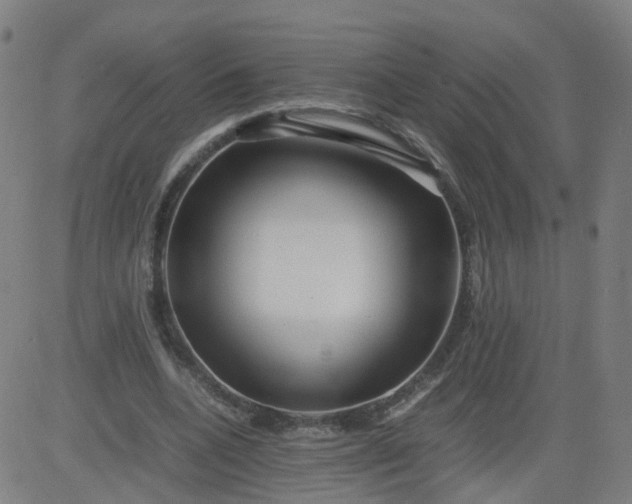 X0000082750536200702091931