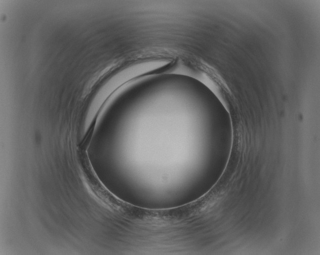 X0000082750538200702091931