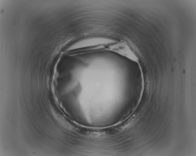 X0000082750542200702091931