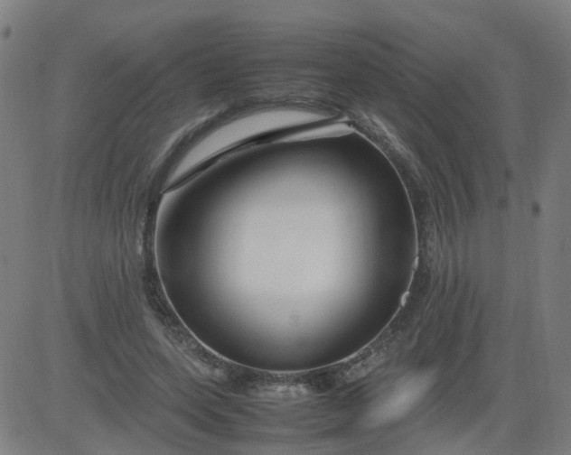 X0000082750543200702091931