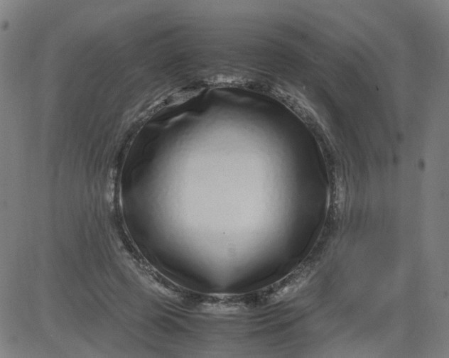 X0000082750545200702091931