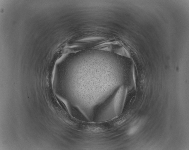 X0000082750547200702091931