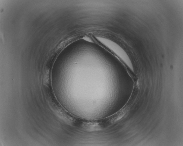 X0000082750554200702091931
