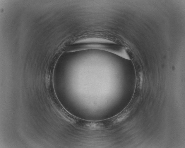 X0000082750558200702091931