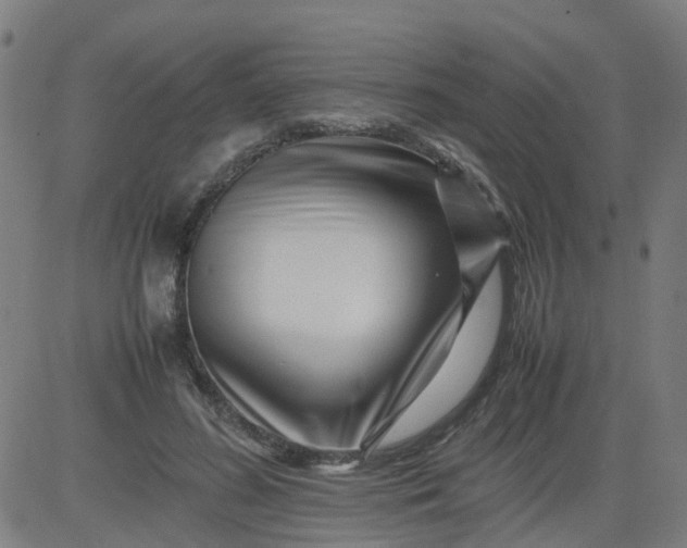 X0000082750596200702091930