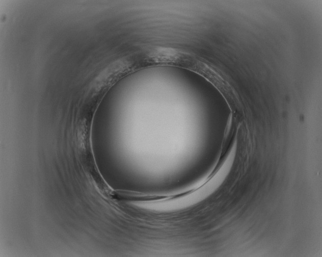 X0000082750604200702091930