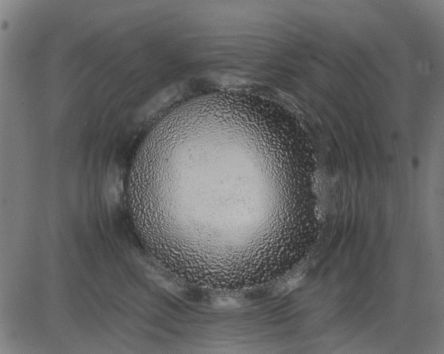 X0000082750618200702091930