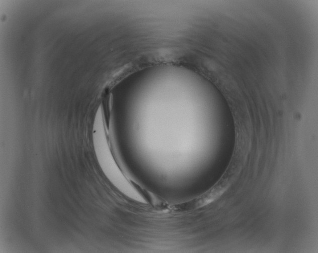 X0000082750624200702091930