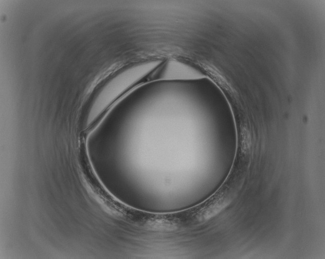 X0000082750634200702091929