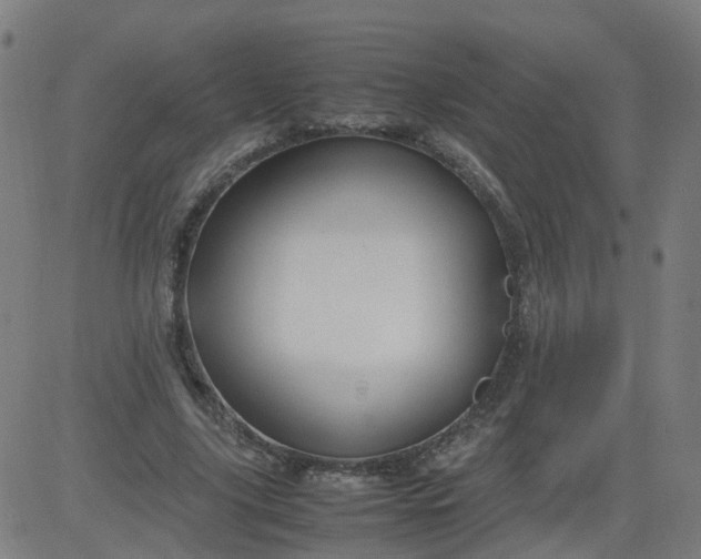 X0000082750635200702091929