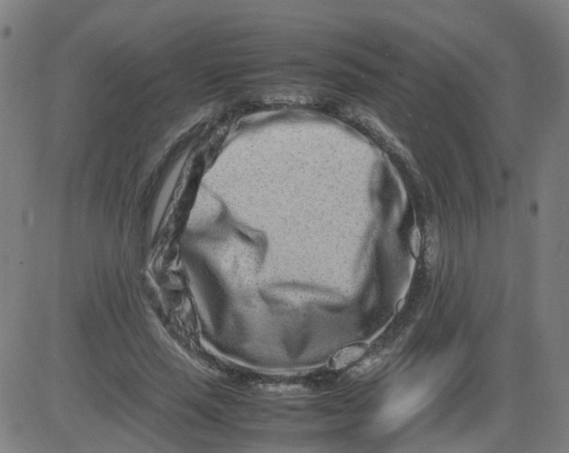 X0000082750637200702091929