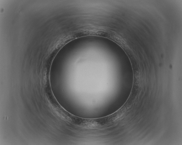 X0000082750642200702091929
