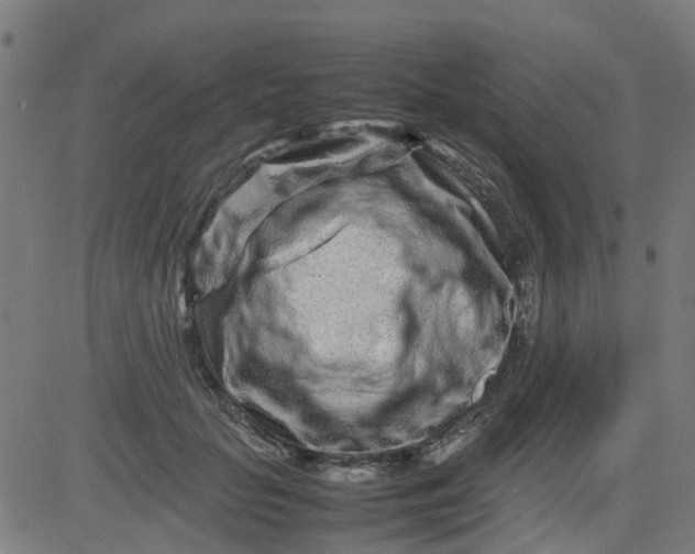 X0000082750653200702091929