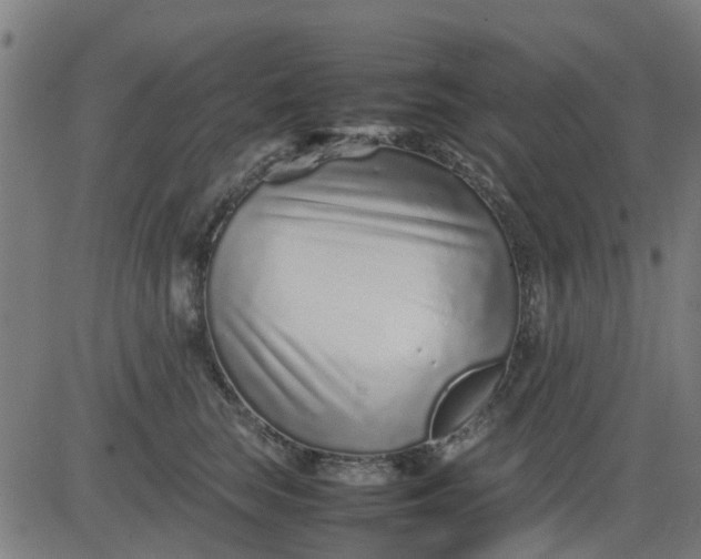 X0000082750663200702091930