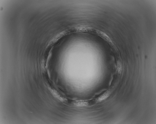 X0000082750670200702091930
