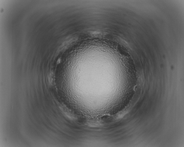 X0000082750671200702091930