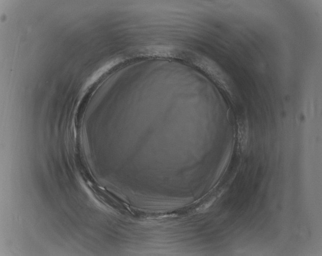 X0000082750674200702091929