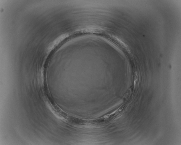 X0000082750678200702091929