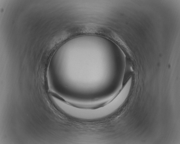 X0000082750681200702091929