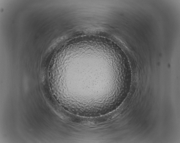 X0000082750687200702091929