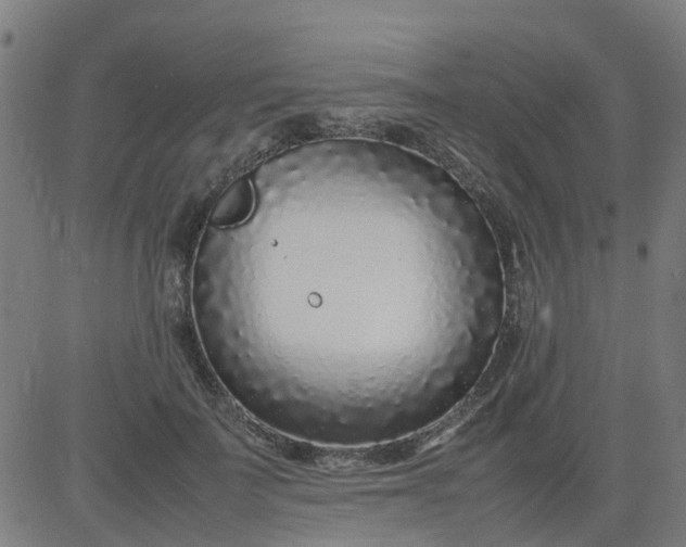 X0000082750699200702091929