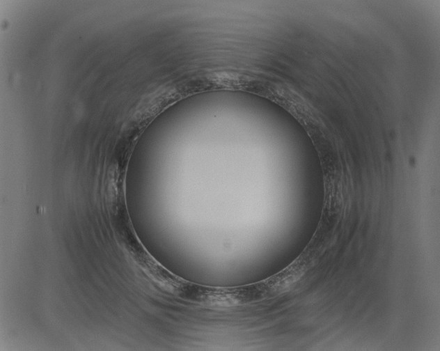 X0000082750702200702091928
