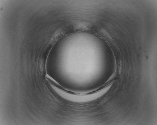 X0000082750708200702091928