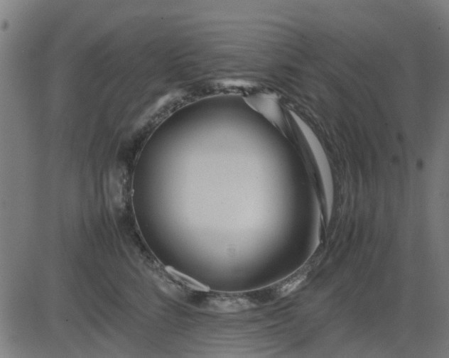 X0000082750712200702091928