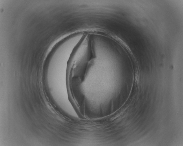 X0000082750724200702091927