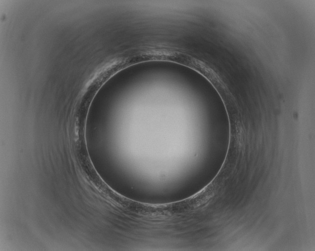 X0000082750731200702091928