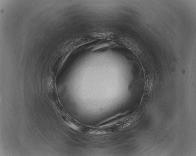 X0000082750749200702091928