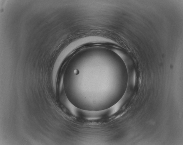 X0000082750750200702091928