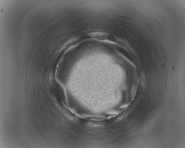 X0000082750763200702091928