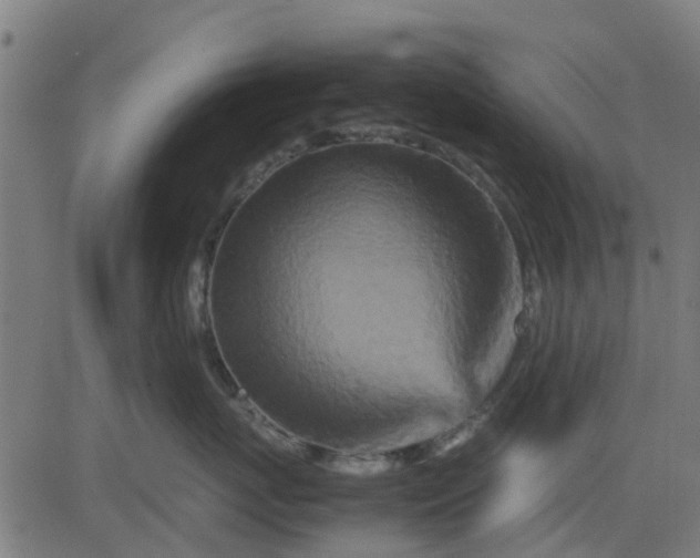 X0000082750767200702091928