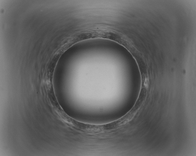 X0000082750771200702091927