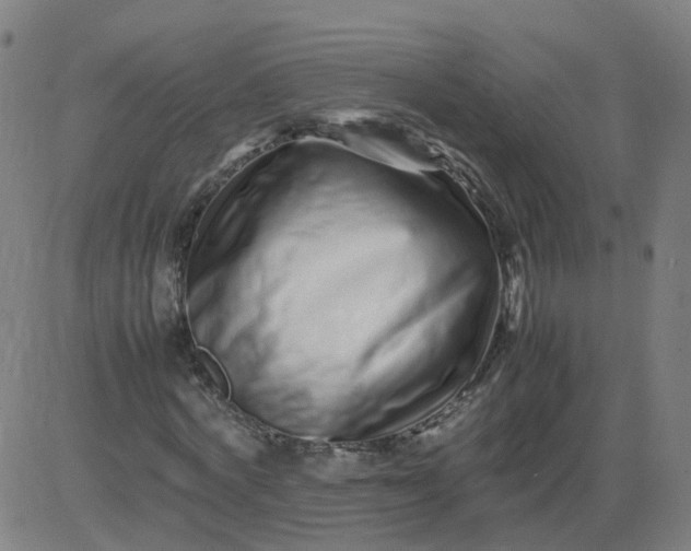 X0000082750772200702091927