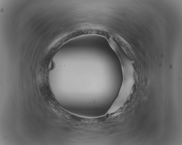 X0000082750775200702091927