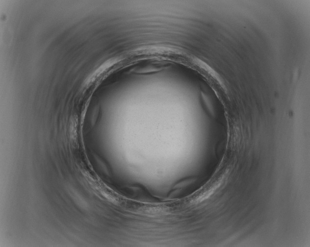 X0000082750778200702091927
