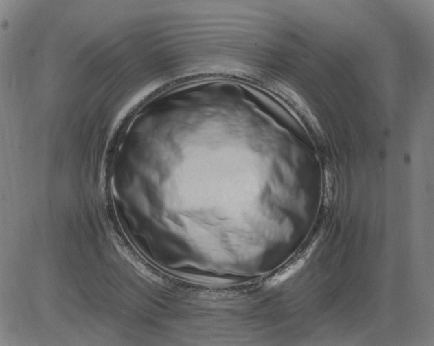 X0000082750780200702091927