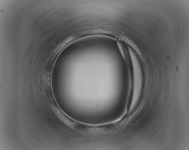 X0000082750793200702091927