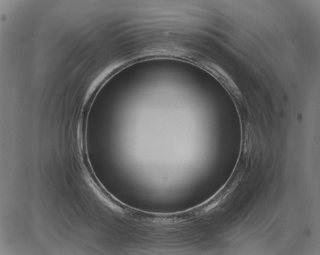 X0000082750796200702091927
