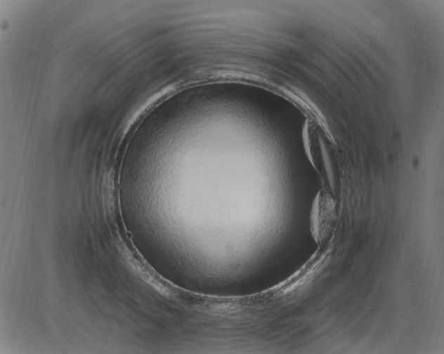 X0000082750798200702091927