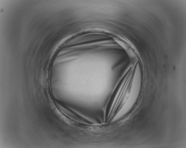 X0000082750799200702091927